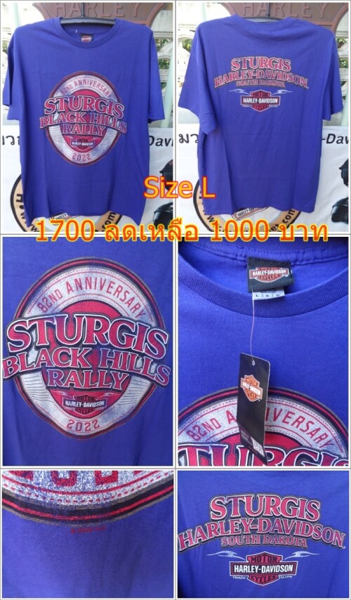 DSC03037-tile-vert.jpg